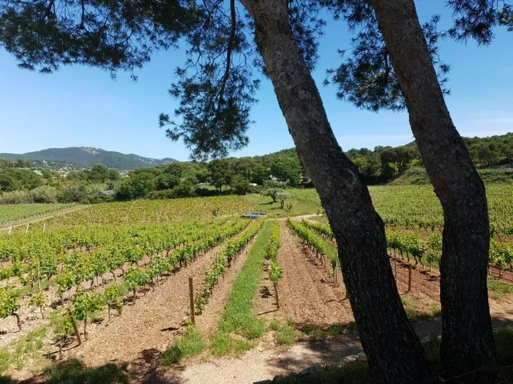 Domaine de la Navicelle