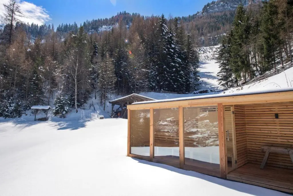 Chalet Alpina
