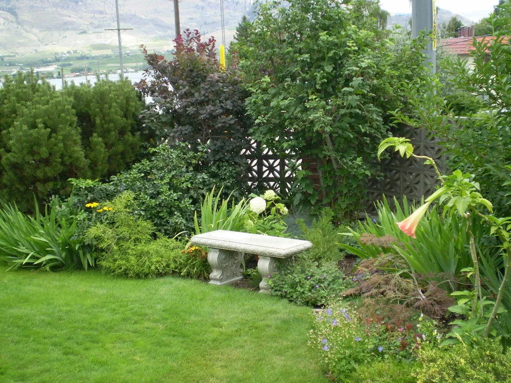 Desert Oasis Bed & Breakfast