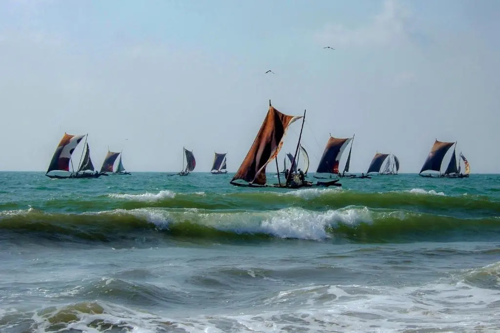 Bohemian Hostel - Negombo