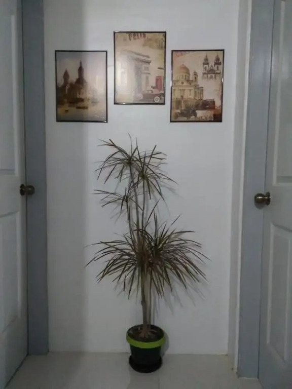Marie's Sleep Transient House