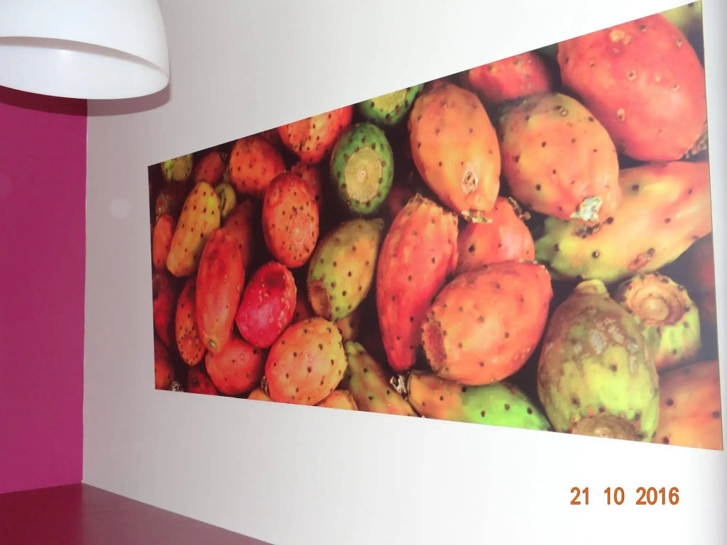 Garden Appart