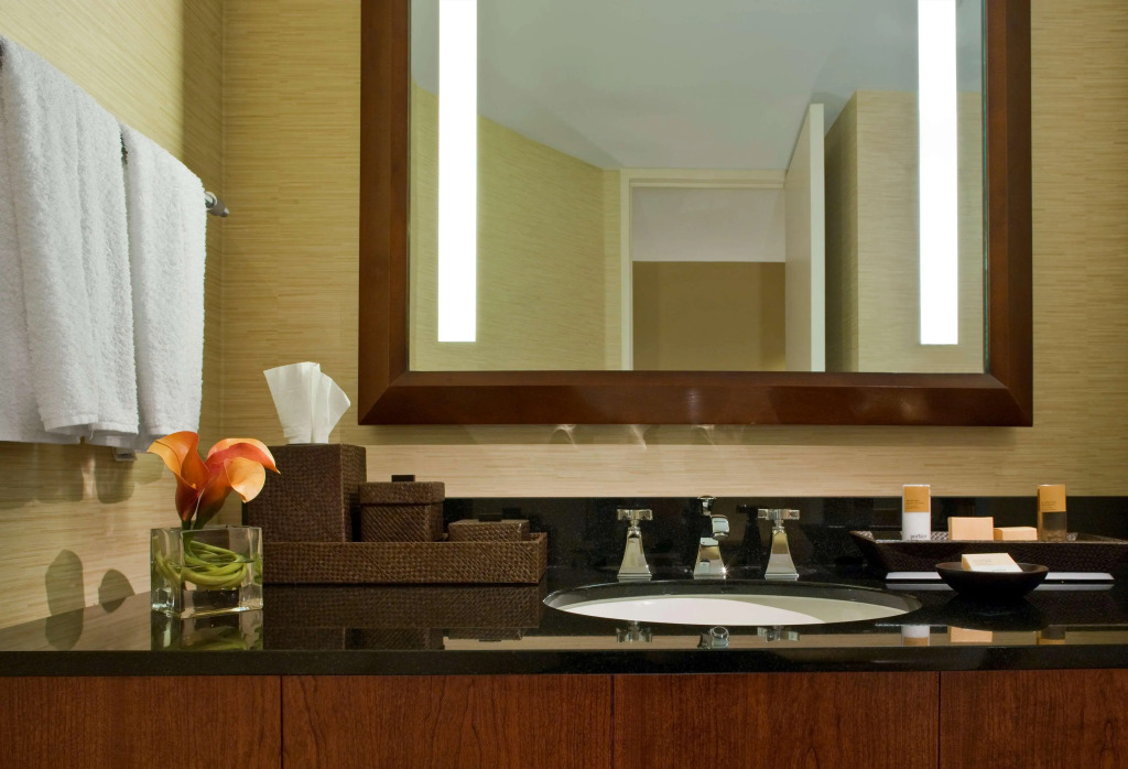 Hyatt Regency Dulles International Airport