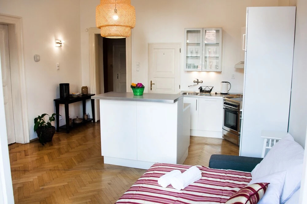 Charming Apartment Kozi Prague
