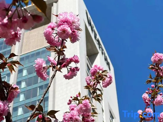 The Westin Yantai