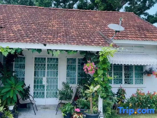 British GrannyS Cottage In Georgetown