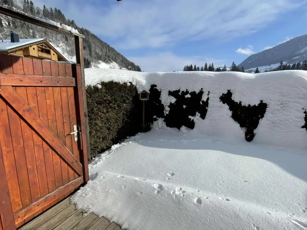 Appartement Praz-sur-Arly, 2 pièces, 4 personnes - FR-1-603-49