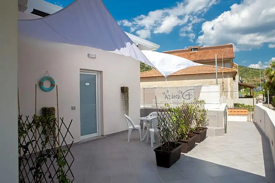 B&B Dionea