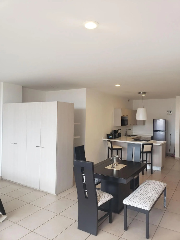Premium Carso Alameda Luxury Lofts