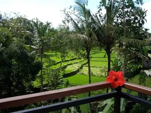 Villa Sancita