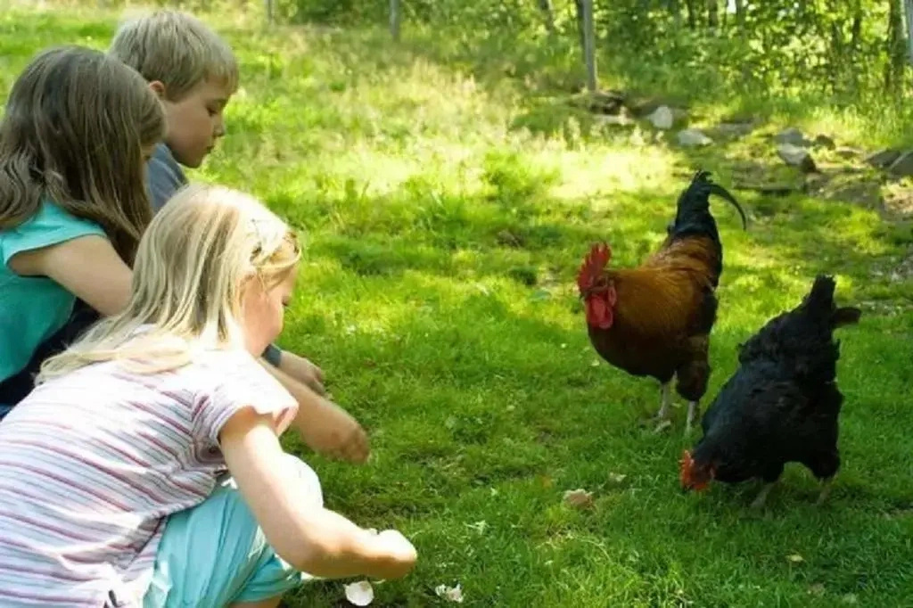 Kinderparadies Habernberger Hof