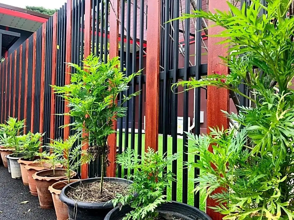 Thyme Xeriscape Hostel