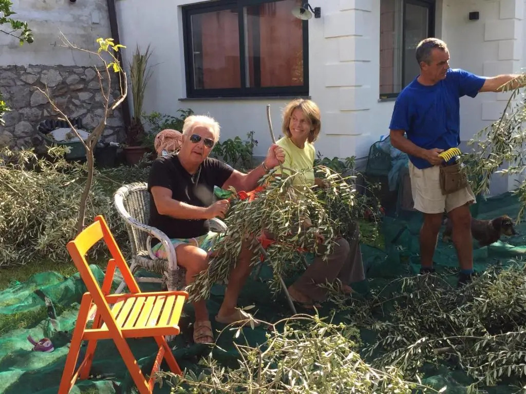 Appartamento in Villa con Giardino privato e piscina