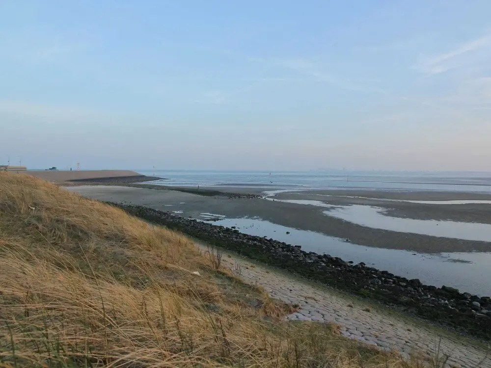 Luxury Villa in Texel