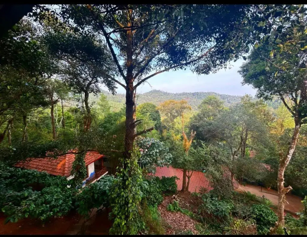 Young Island - Coorg