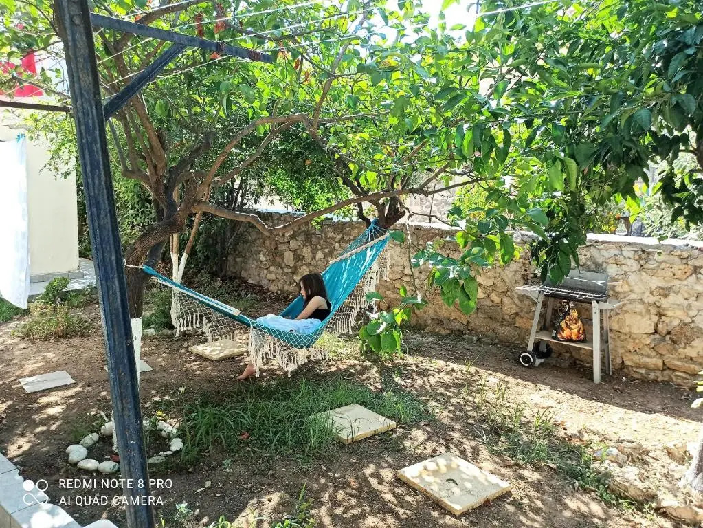 Stone Family Home Garden Center Beach