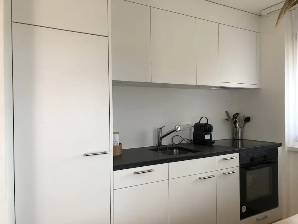Renovated 3 Rooms Apartment in Ruschein Near Laax