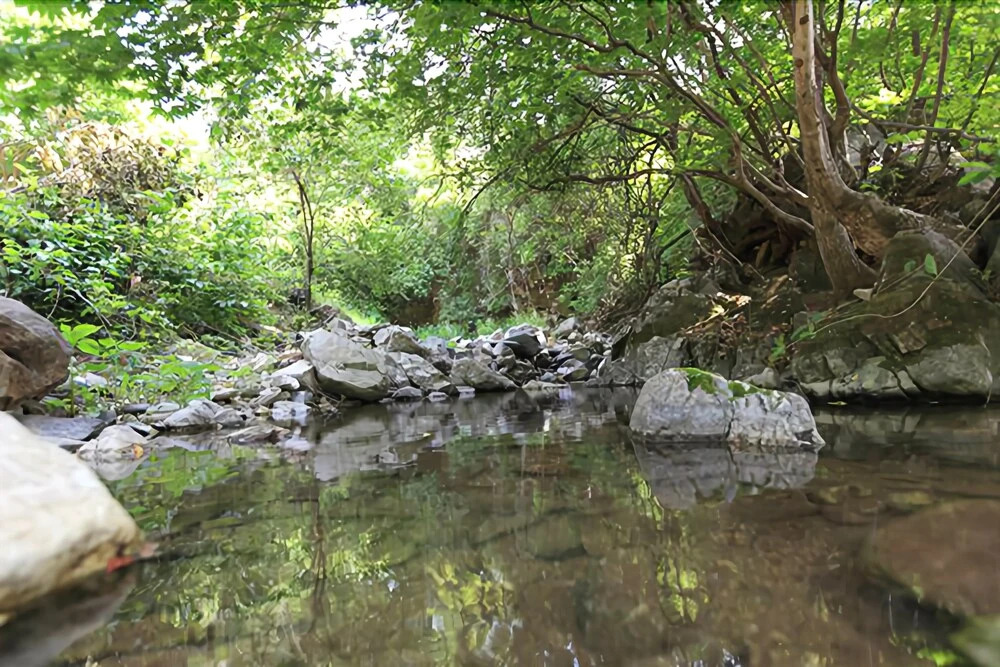 Yangpyeong Saen Farm Pension