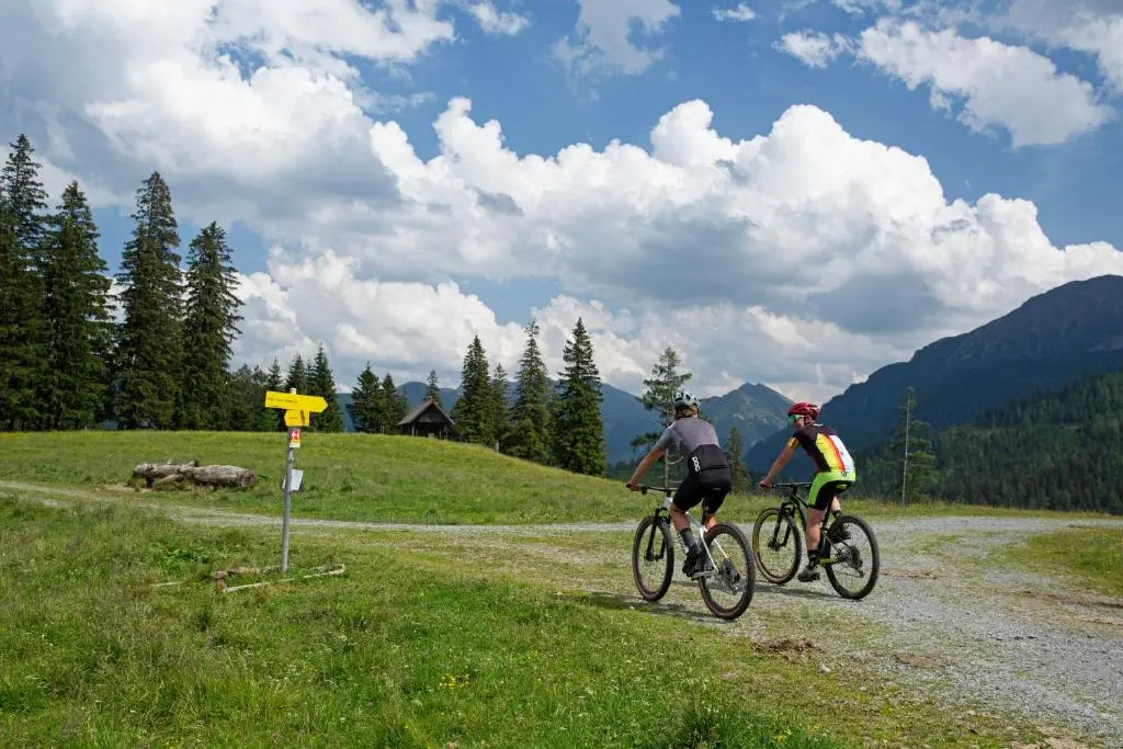 Alpenhotel & Aparthotel Lanz