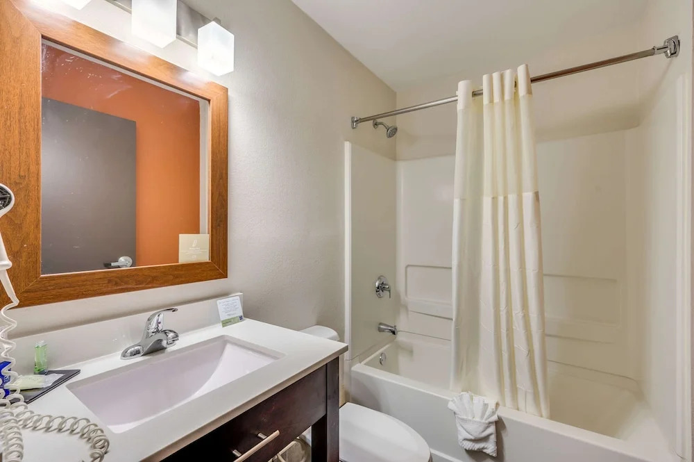 Microtel Inn & Suites by Wyndham Decatur