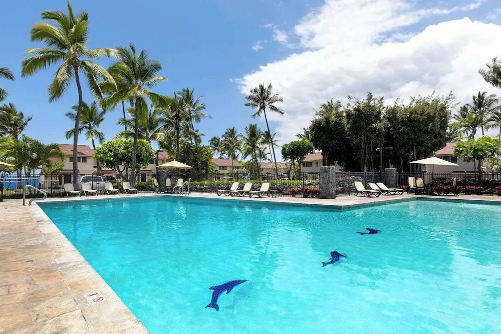 Plan Your Hawaii Vacay at Grace's Oasis!