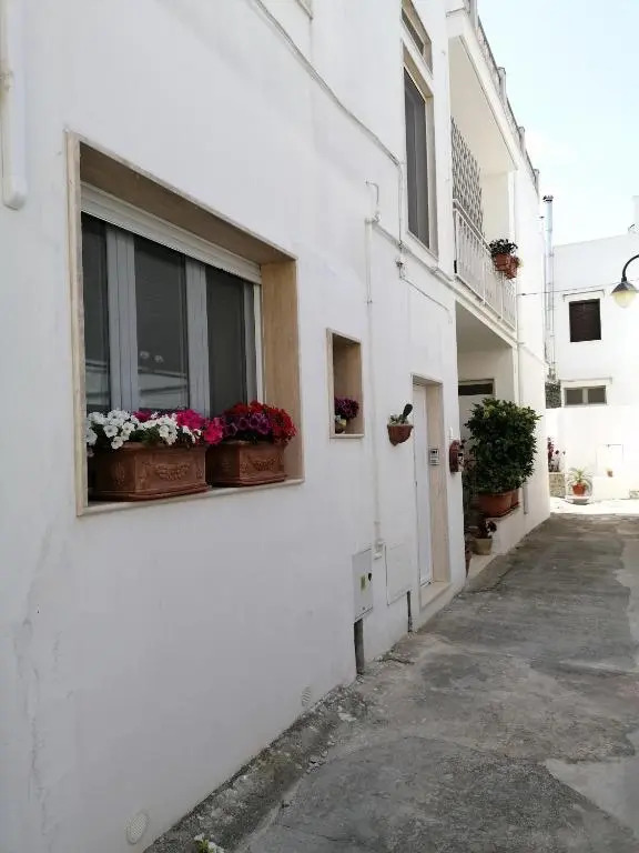 Casa Low Cost