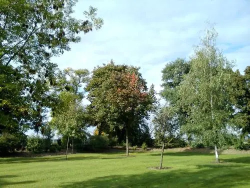 Pension Hotel Zum Engel