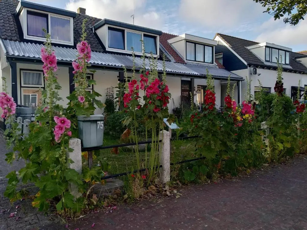 B&B TxL