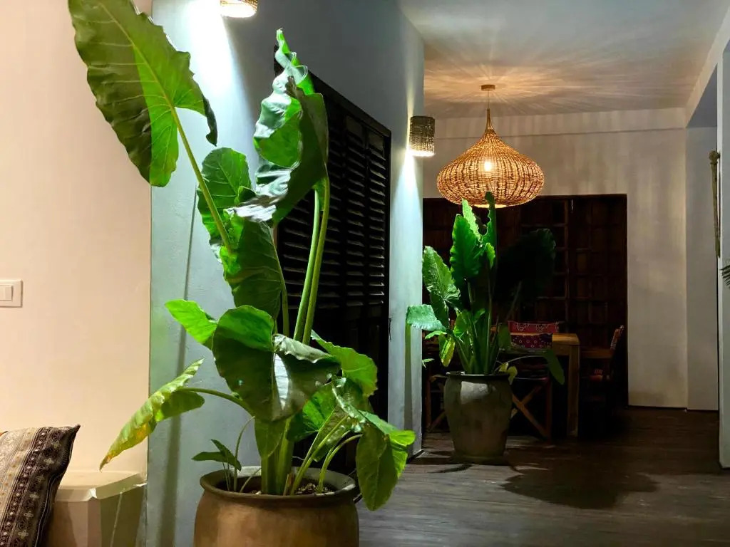 Joya Beach Suites & Villa