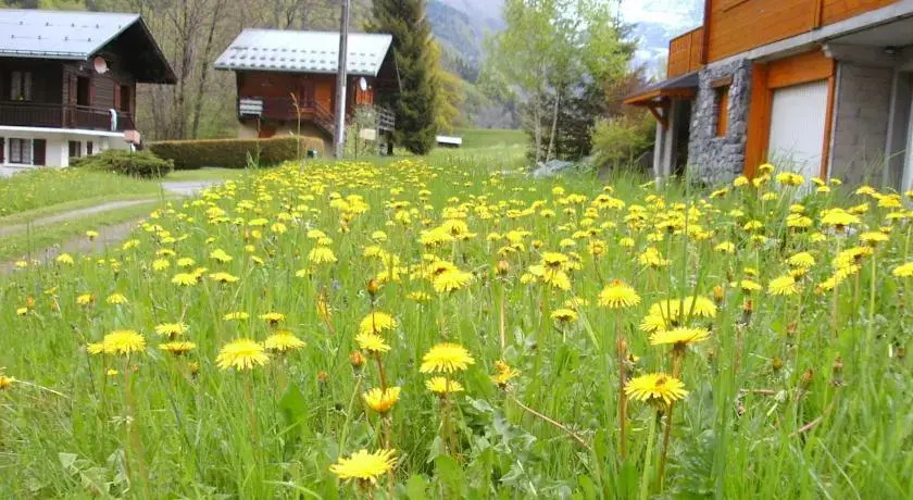Chalet Vaia