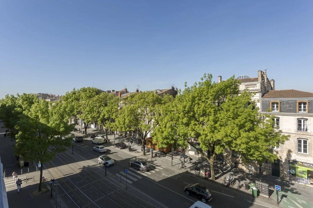 We Stay - Cornac