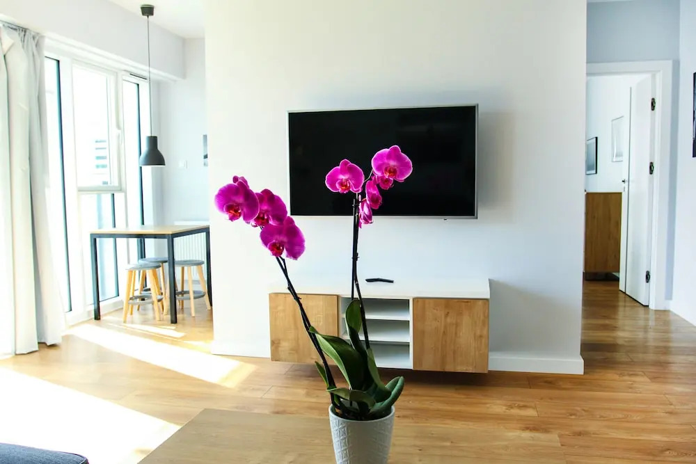 Apartamenty I.M.A Towarowa