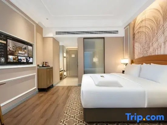 Vienna International Hotel （Zhouzhi Shuijie）