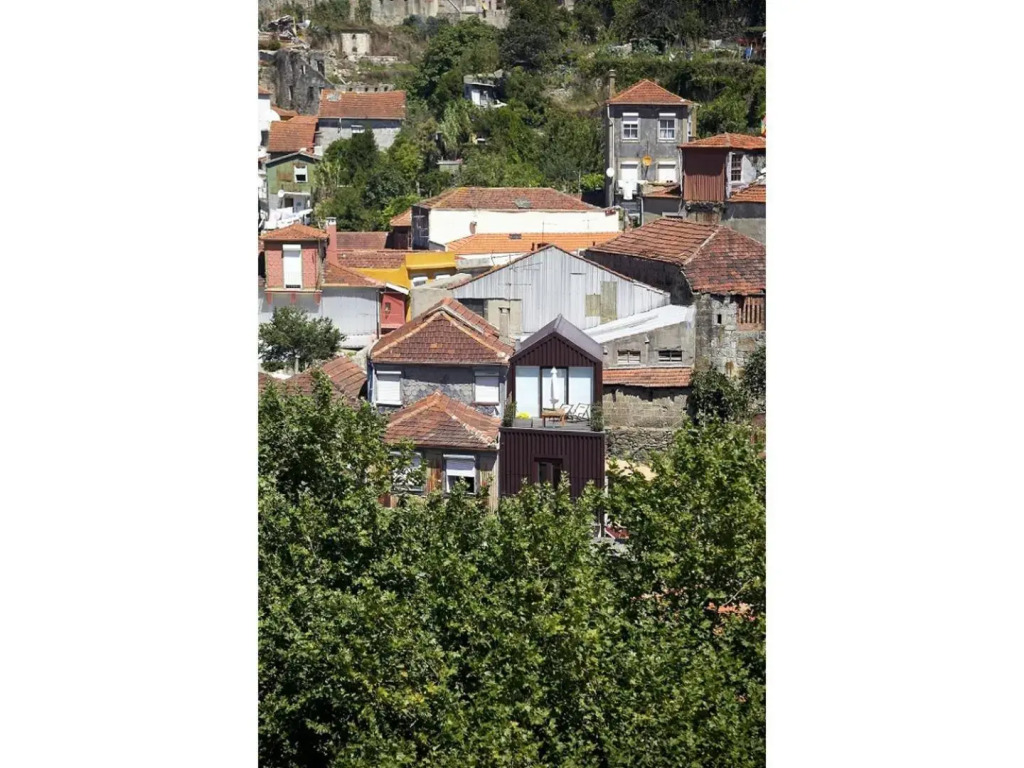 Skinny House