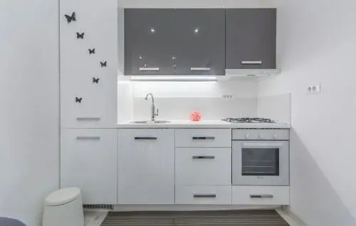 Apartment Eva