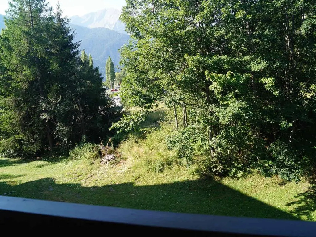 Appartement Pra-Loup, 2 pièces, 4 personnes - FR-1-165A-82