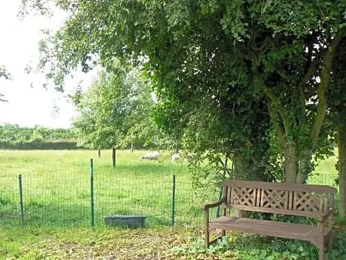 B&B t Wit Reigertje