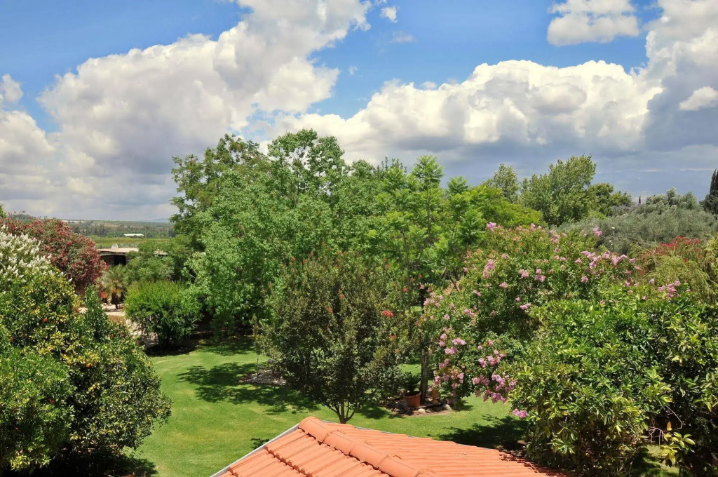 Kidmat Hagalil