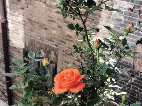Gongxili - Chujian Hotel
