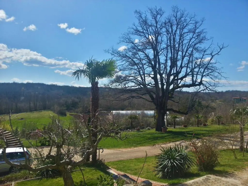 Villa Lara