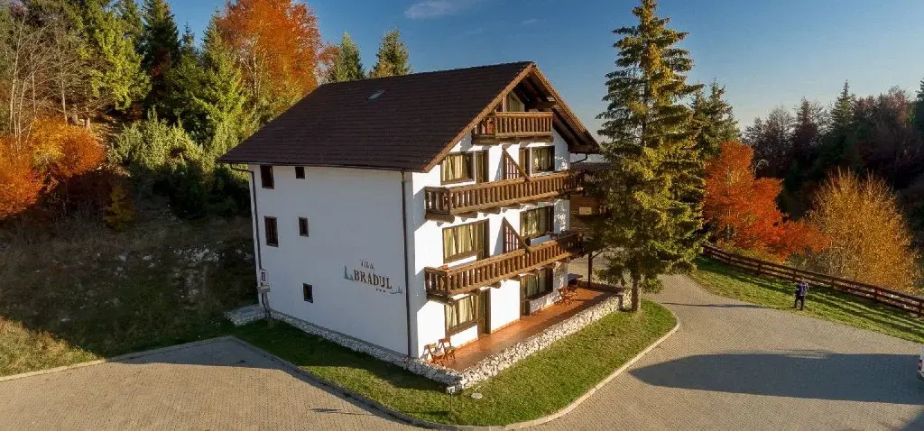 Vila Bradul - Complex Cheile Gradistei