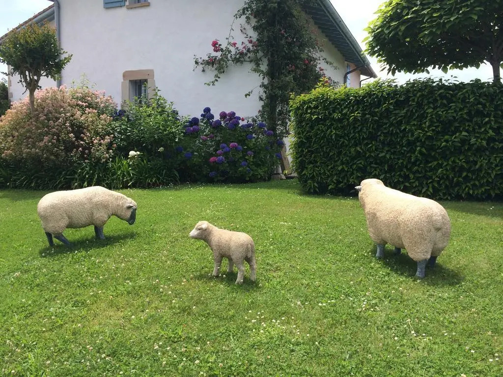 Les Volets Bleus