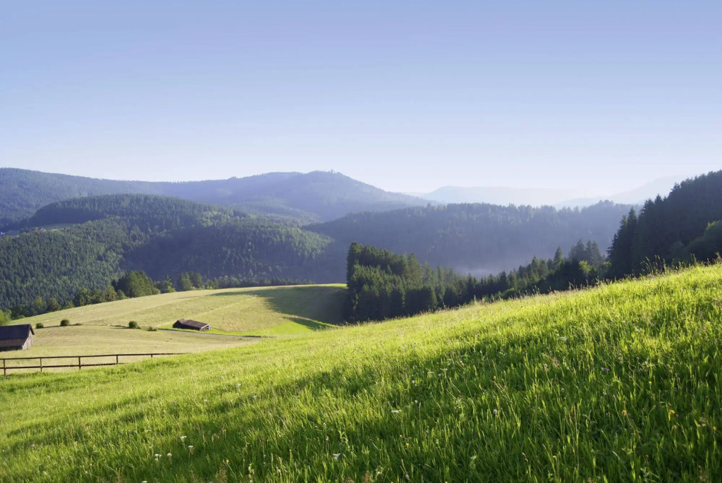 Sackmann Schwarzwald Charme