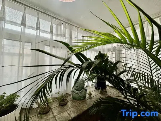 Jian Ai House Homestay (Central Street Subway Station Branch)