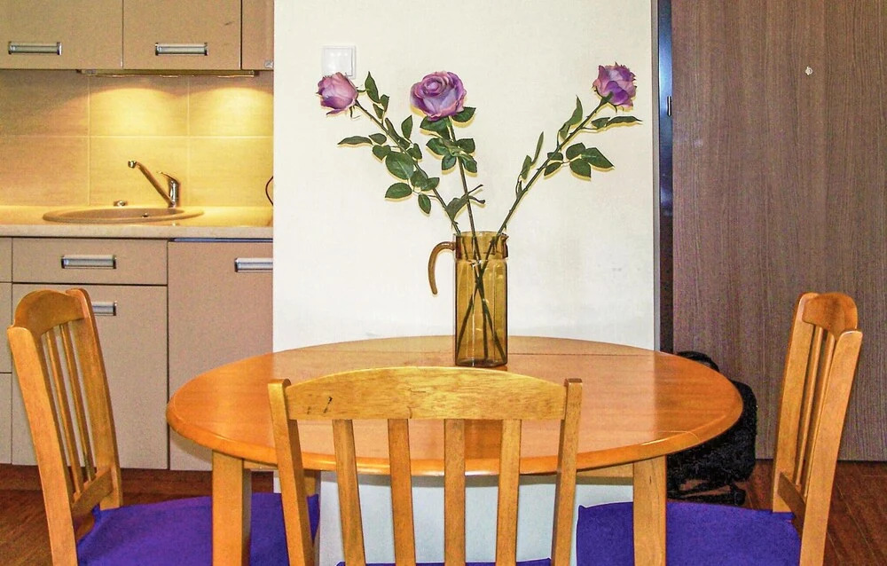 Nice Apartment in Kolobrzeg-podczele With 1 Bedrooms