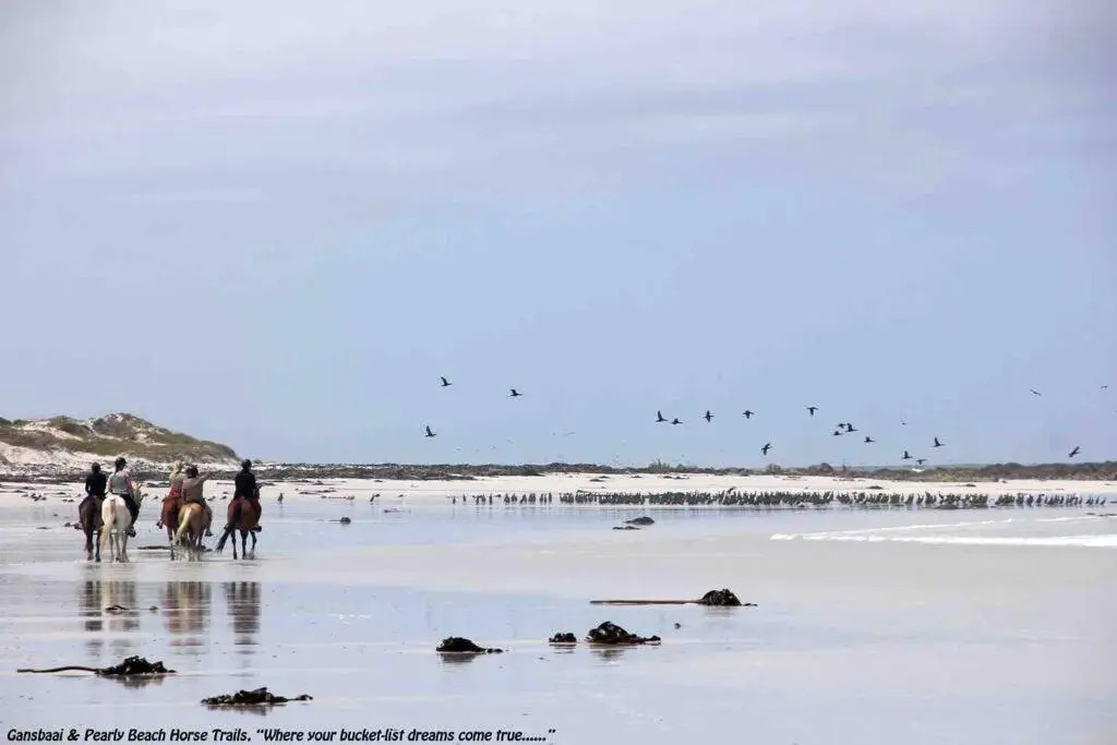 Ons C-Huis - Gansbaai Seafront Accommodation, back-up power
