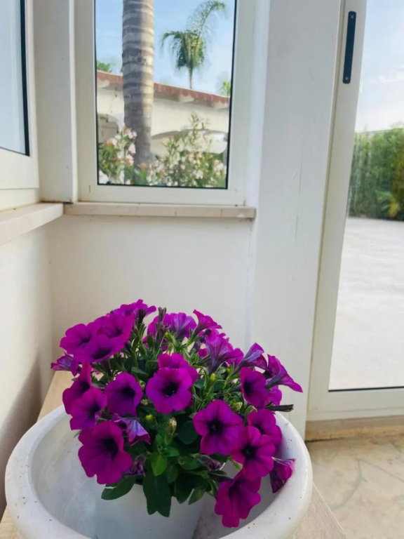Pupillo Casa Vacanza