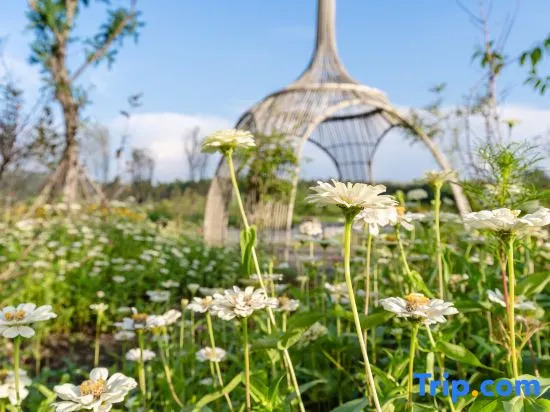 Yunmen 5 Seasons Argyle Resort Hotel
