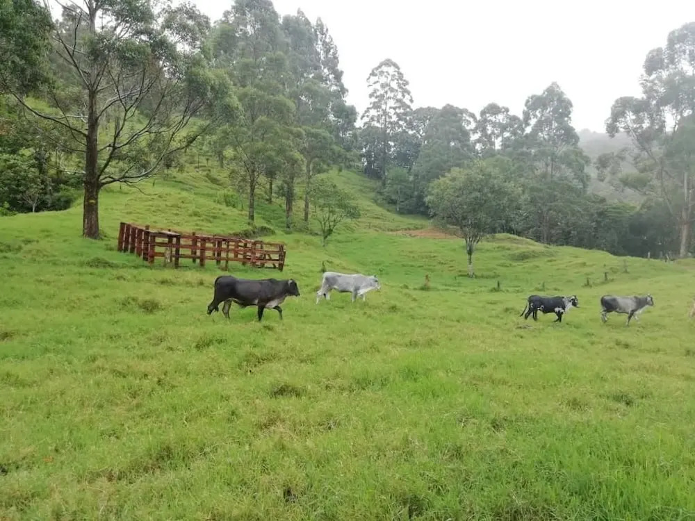 Monteverde Casa Mia, near main attractions and town