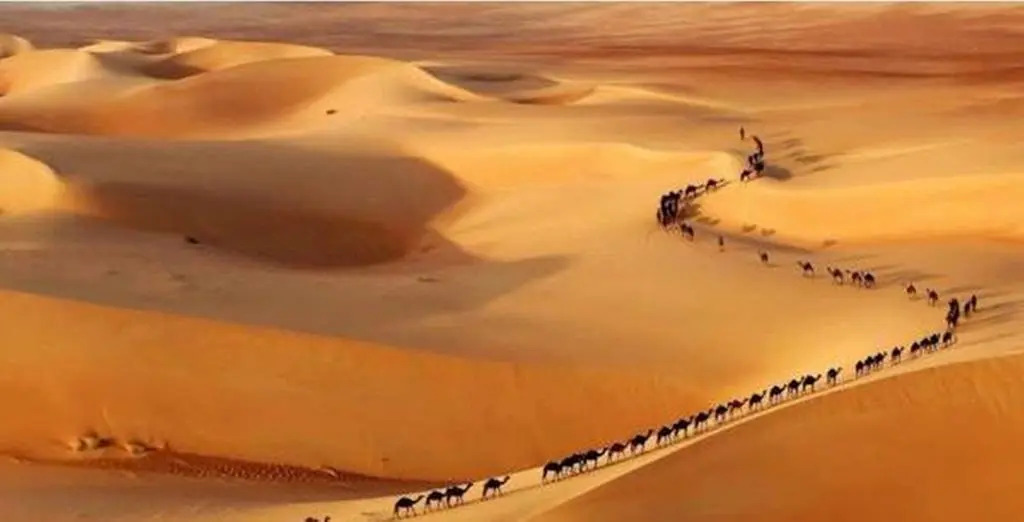 Bivouac Morocco Safari Tours